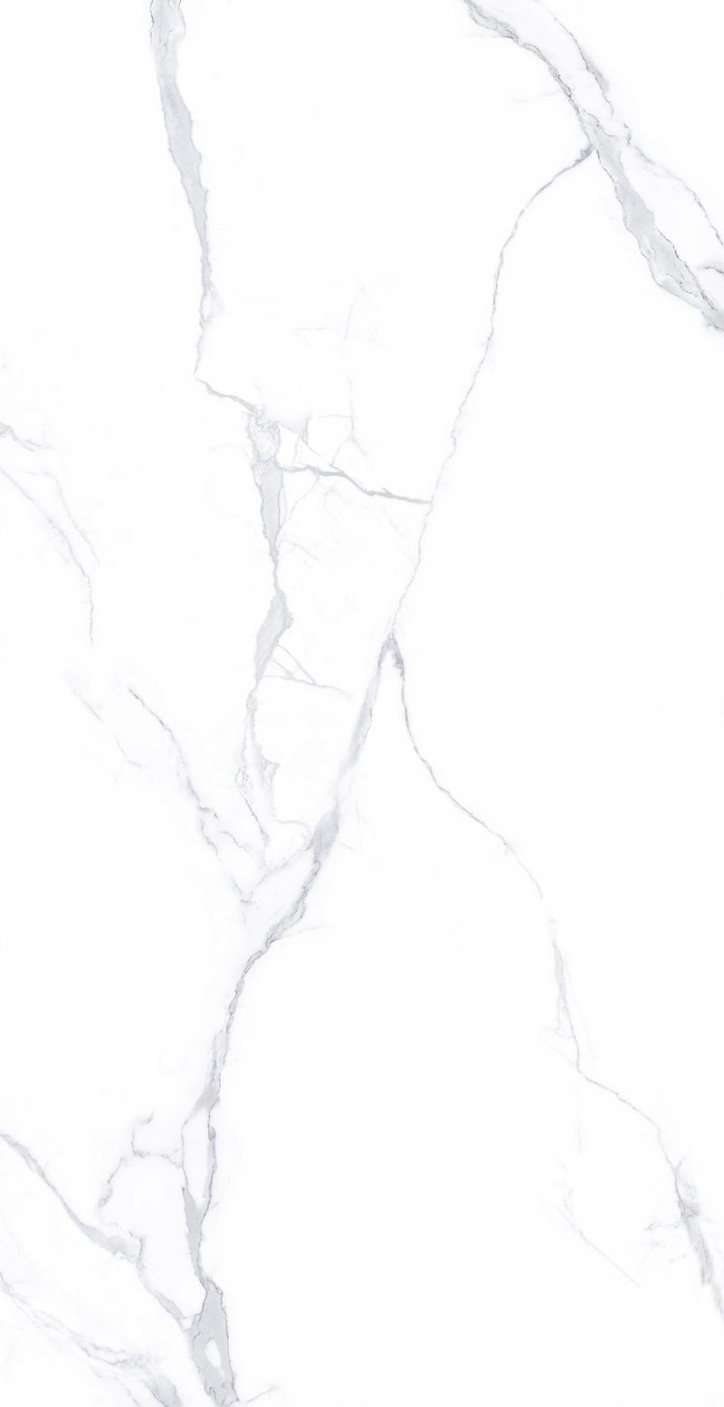CGTB61201汉斯白