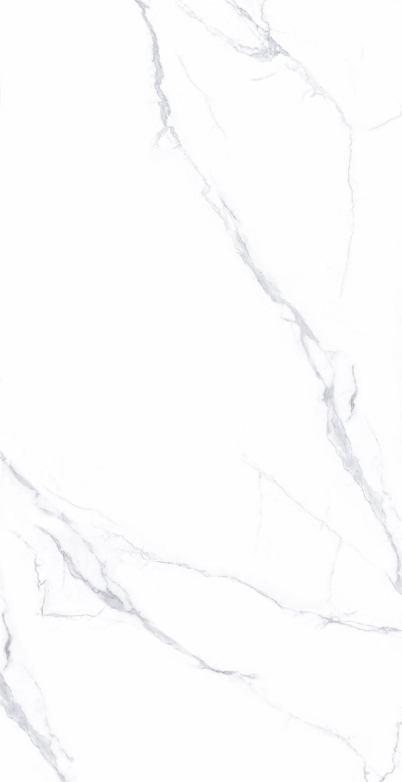 CGTB61201汉斯白