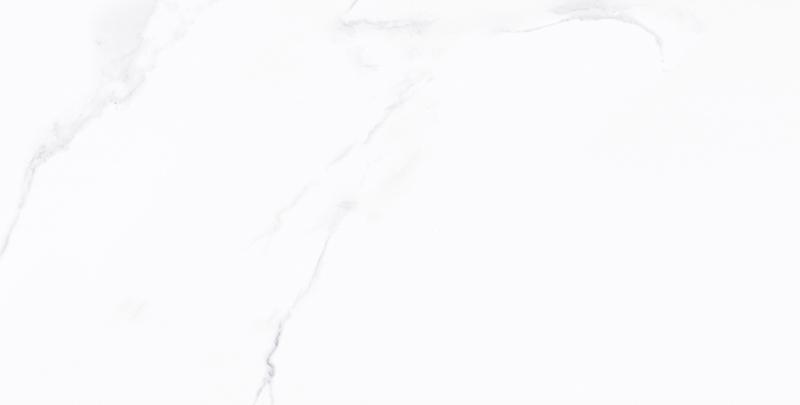 CHG66007