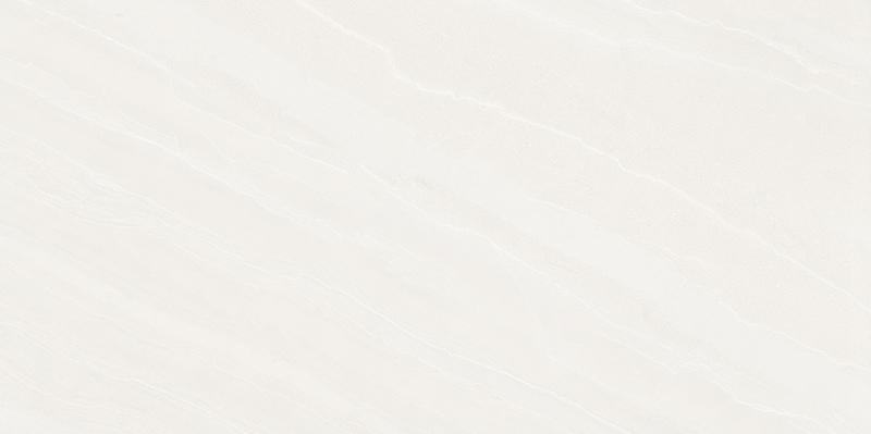 CHG66006A