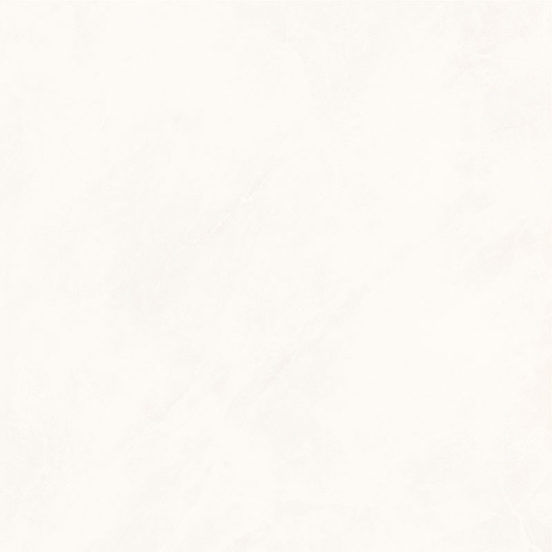 CTB8111-W 