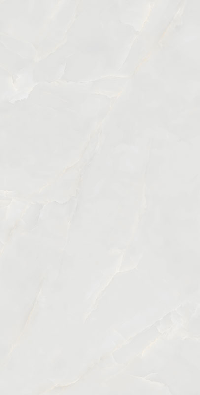 CTDB189616-W
