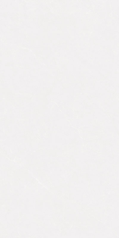 CTB48113-W
