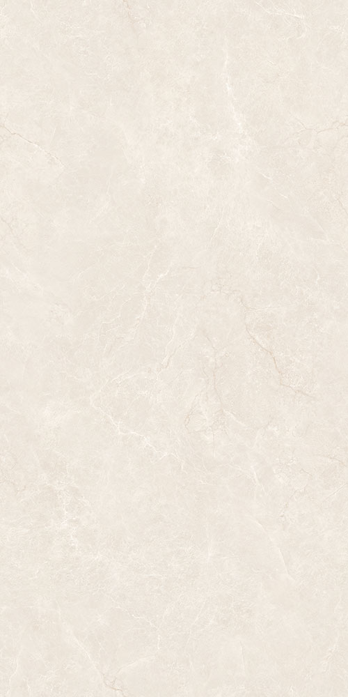 CTB48100-W