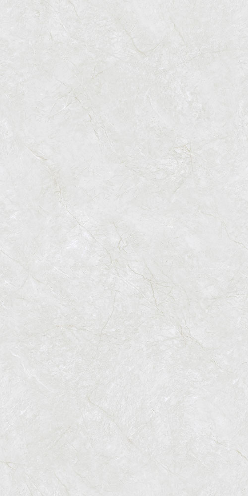 CTB48101-W