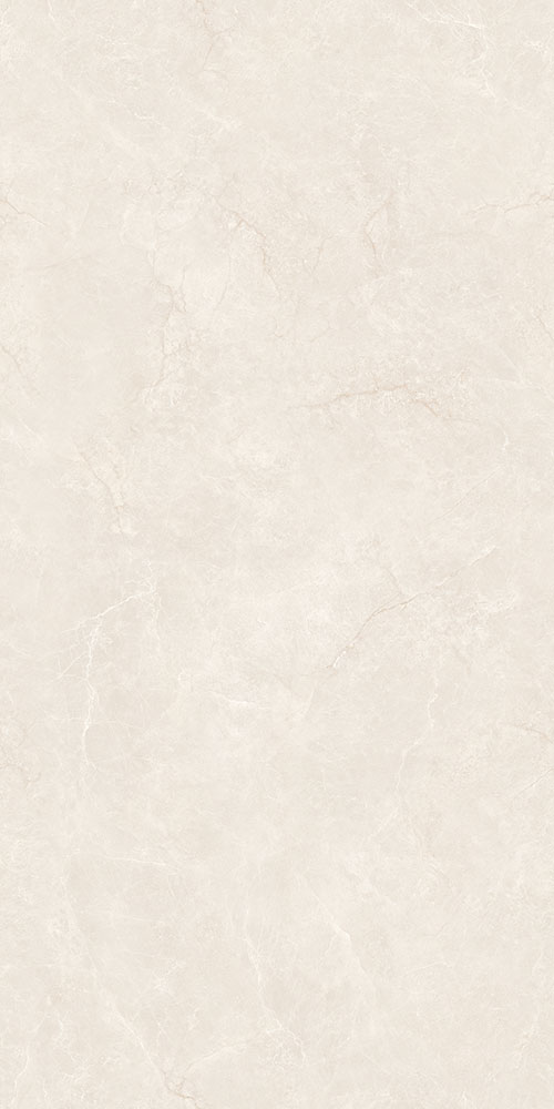 CTB48100-W