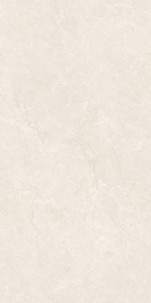 CTB48100-W