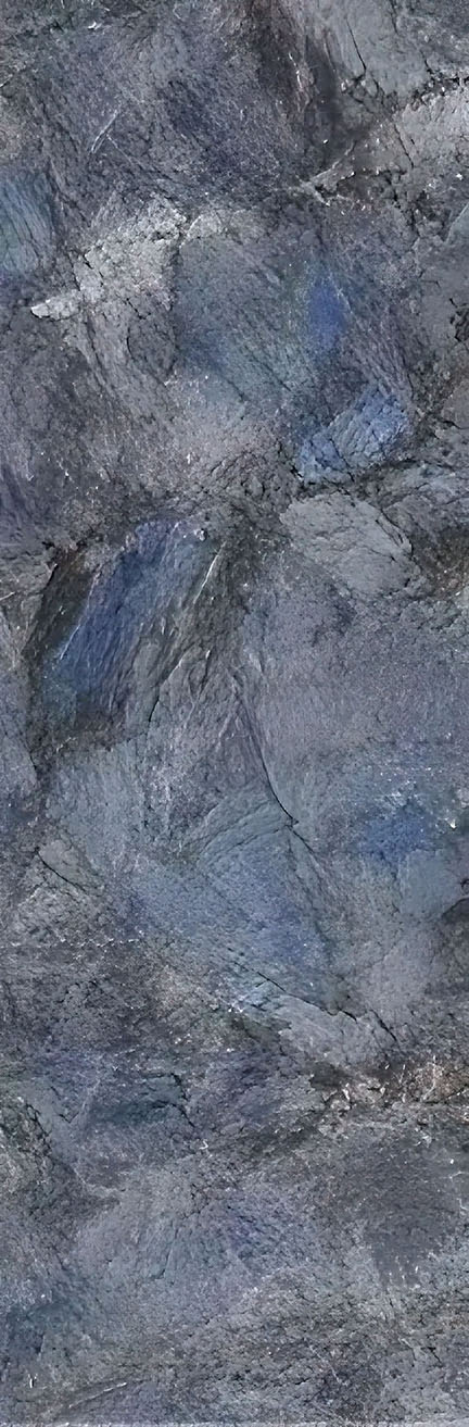 CYC103005