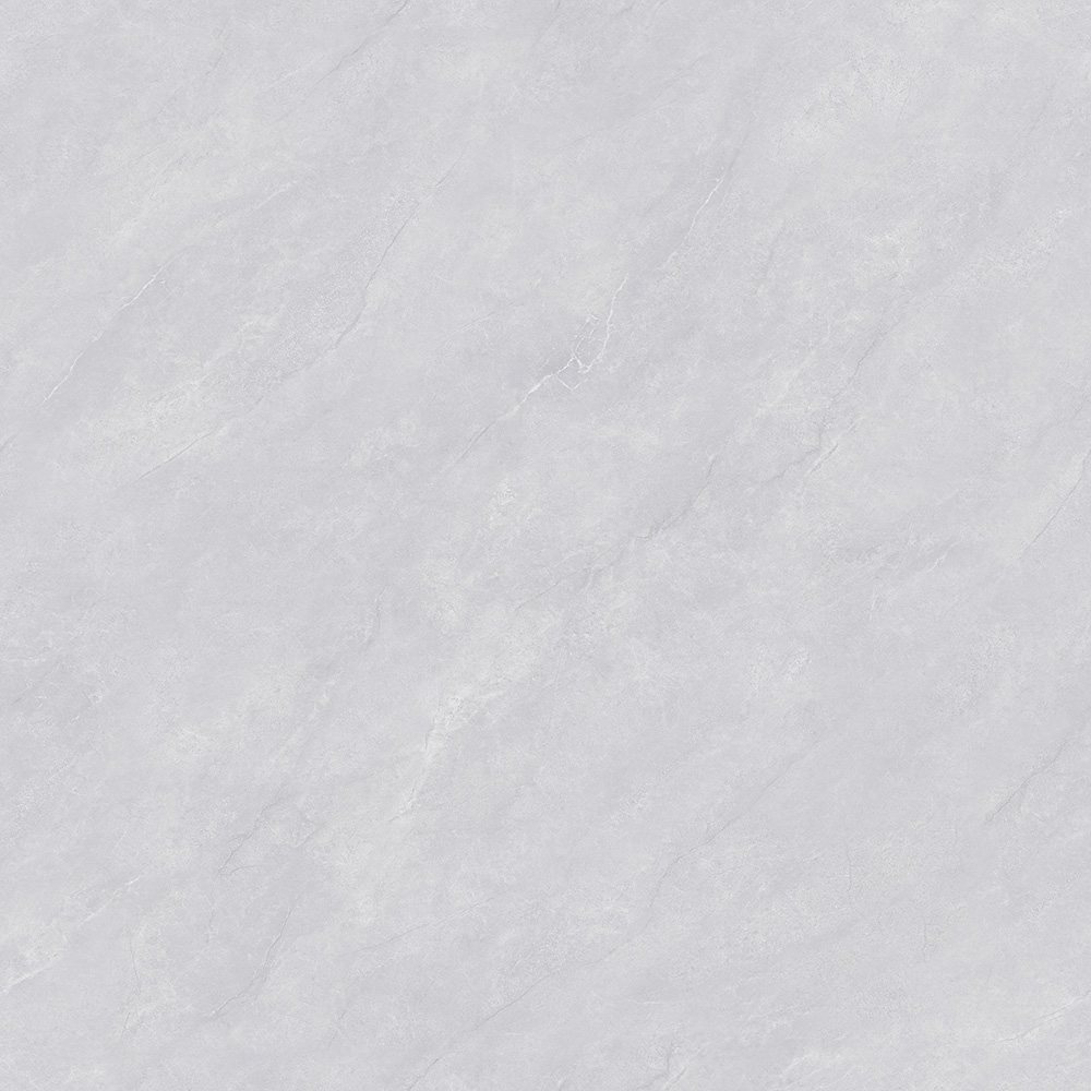 CTB808506-P