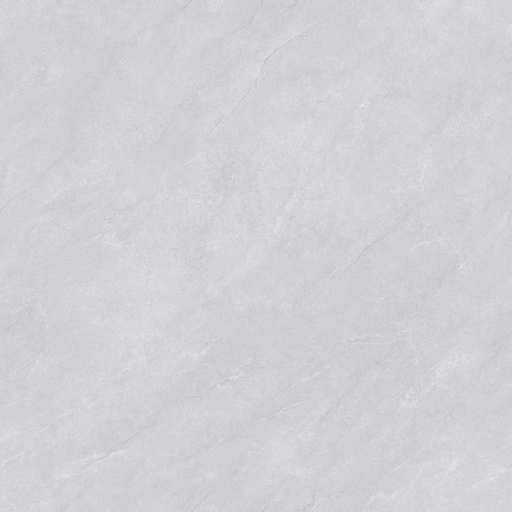 CTB808506-P