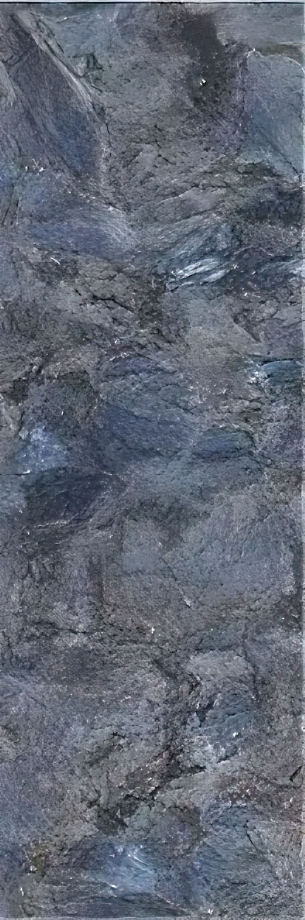 CYC103005