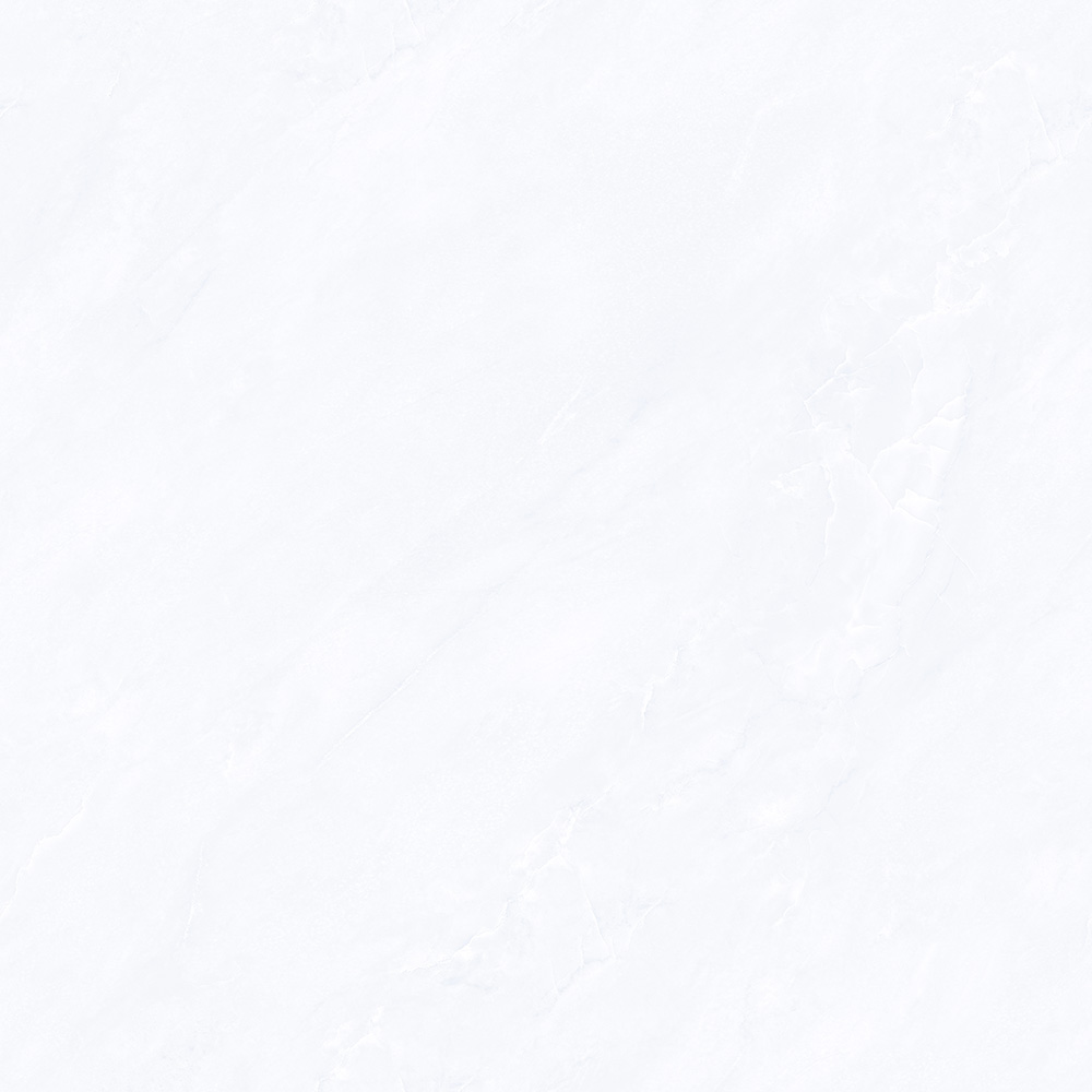 CTB808501-P