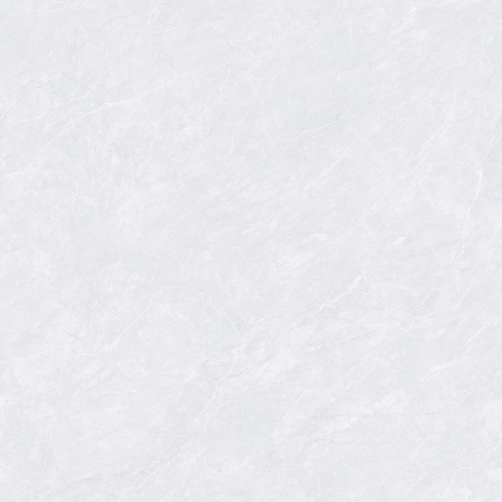 CTB808503-P