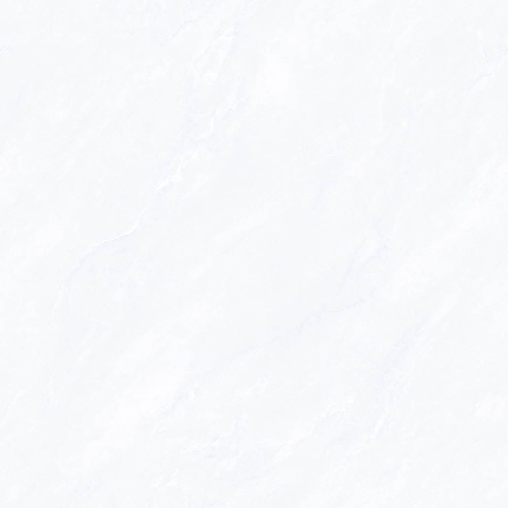 CTB808501-P