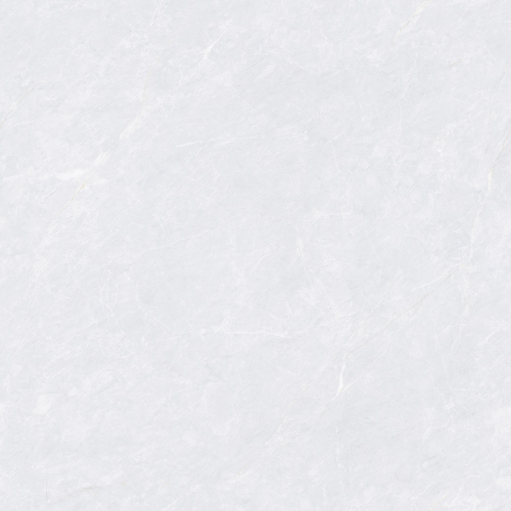 CTB808503-P