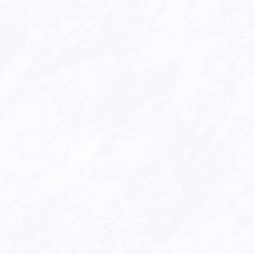 CTB808501-P