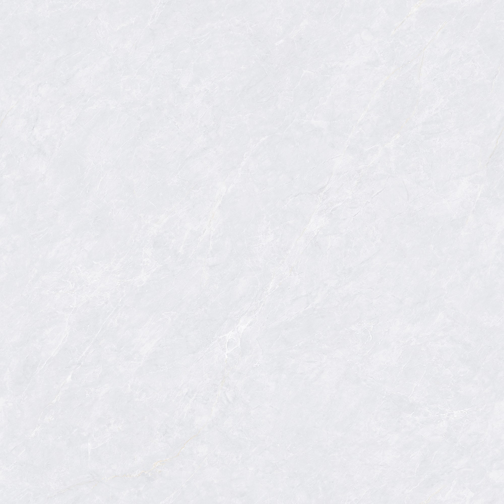CTB808503-P